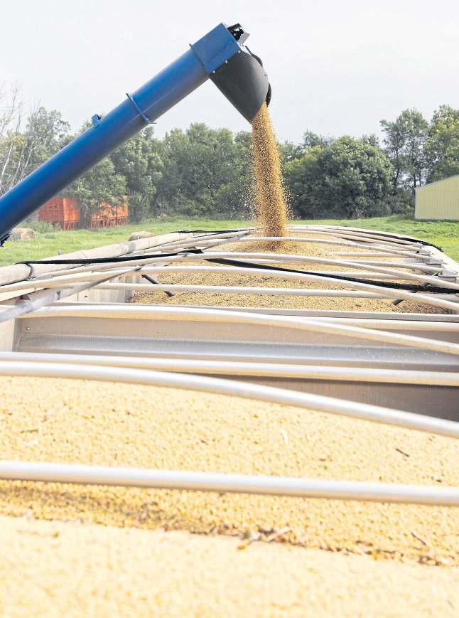 China bought $12.6bn in US soybeans in '24. Now, it's $0