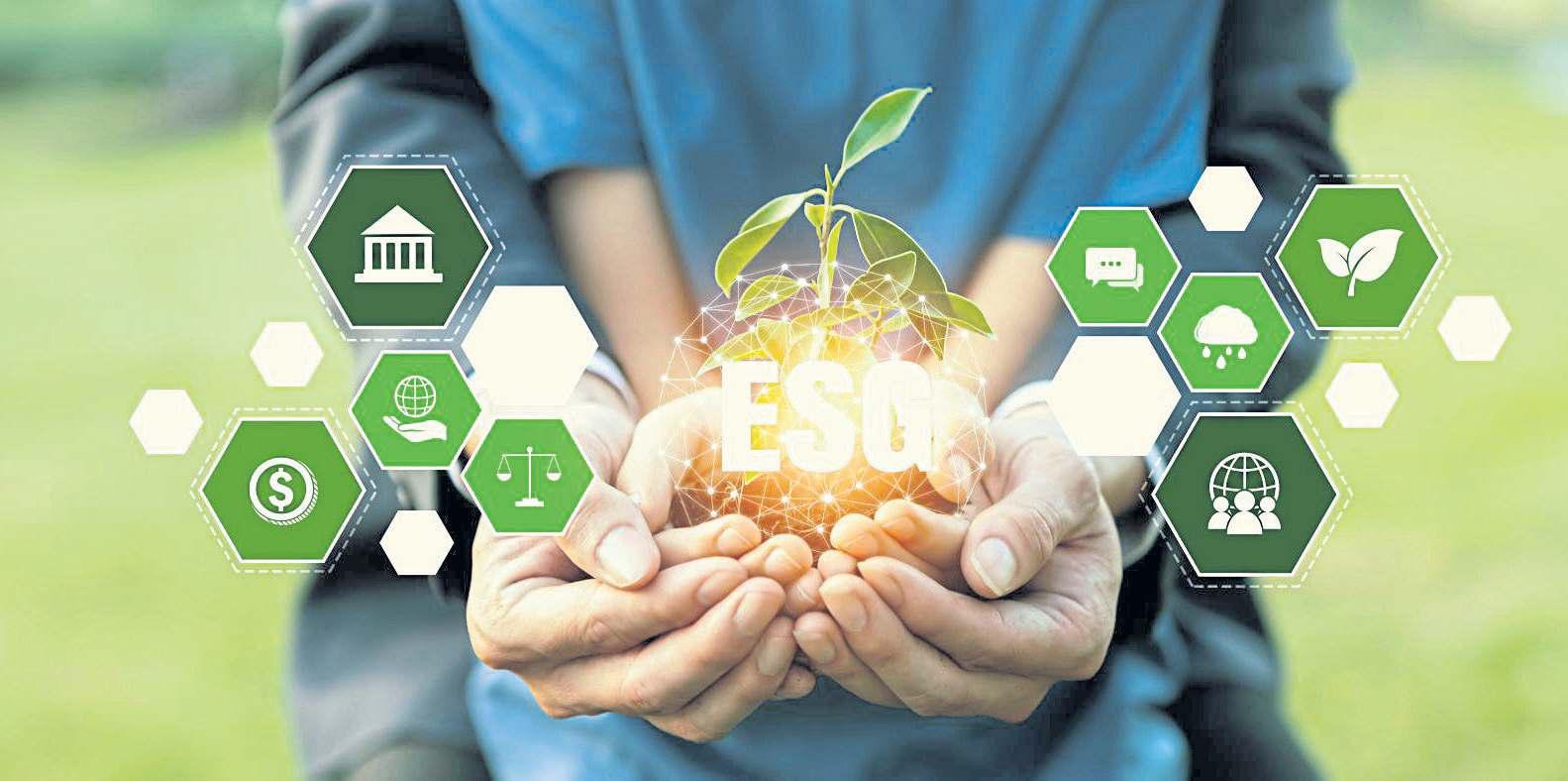 Insurance sector goes green