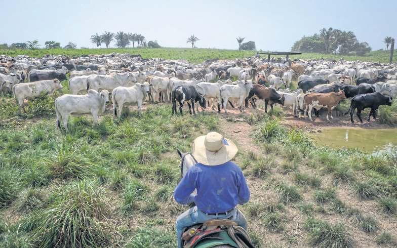 Brazil's farm sector braces for the global spotlight