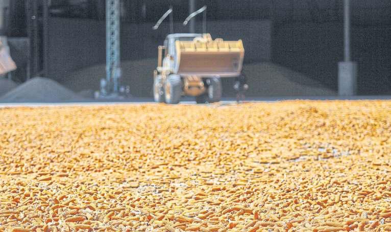 Huge uptick in feed corn imports