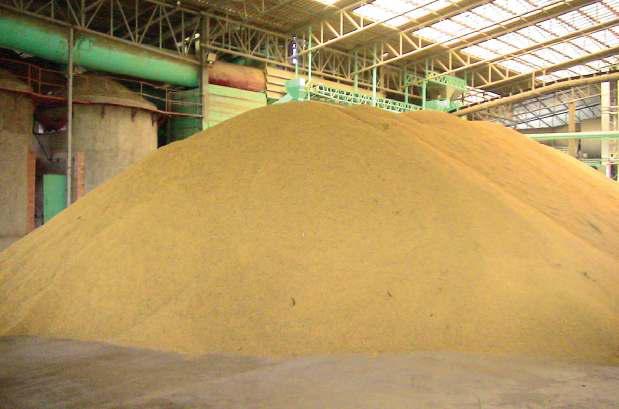 Rice mills call for action as prices deteriorate