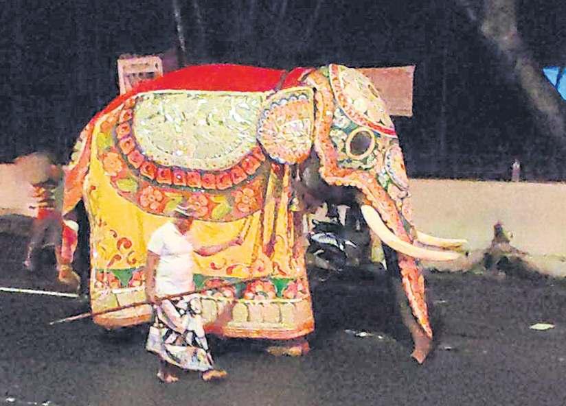 Thailand, Sri Lanka deepen ties at 70 years