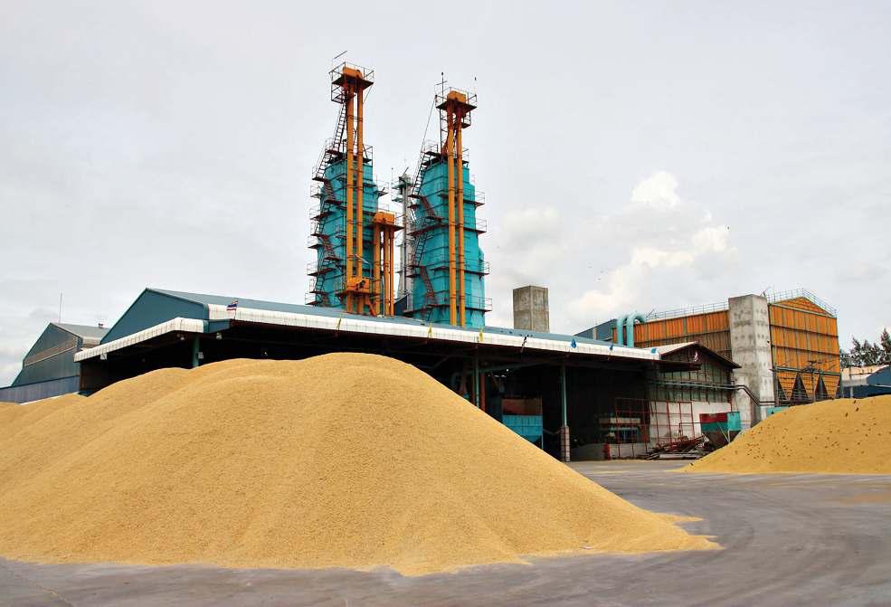 China rice deal negotiations in the offing