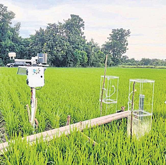 Tech to transform rice farming