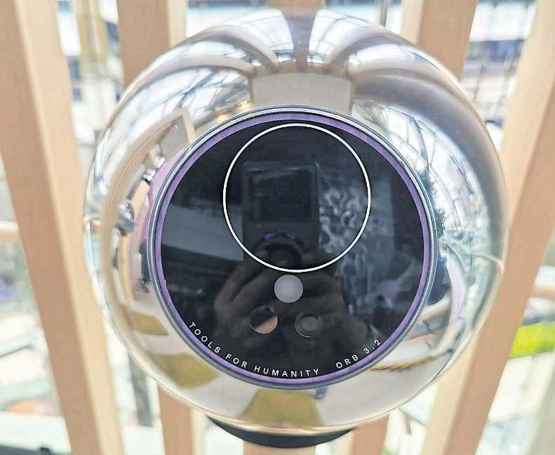 Regulator highlights concerns over WLD