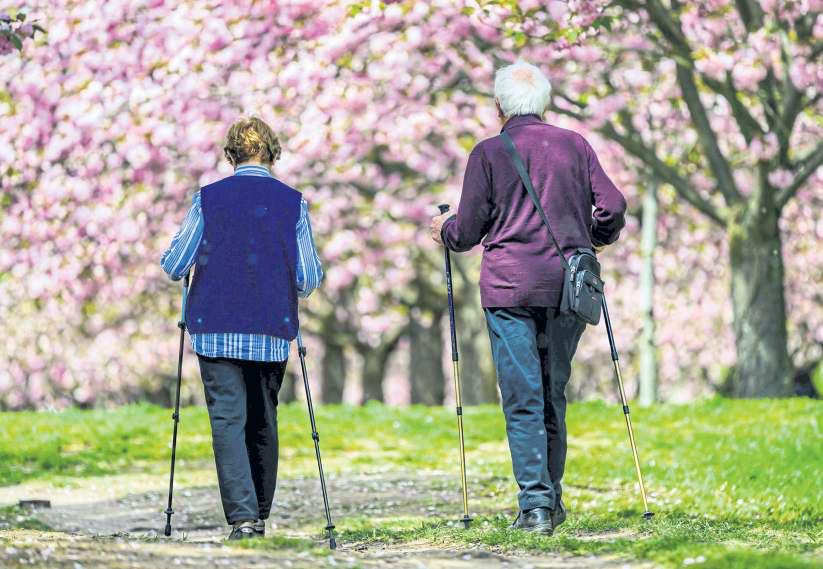 Ageing nation 'set to shrink'