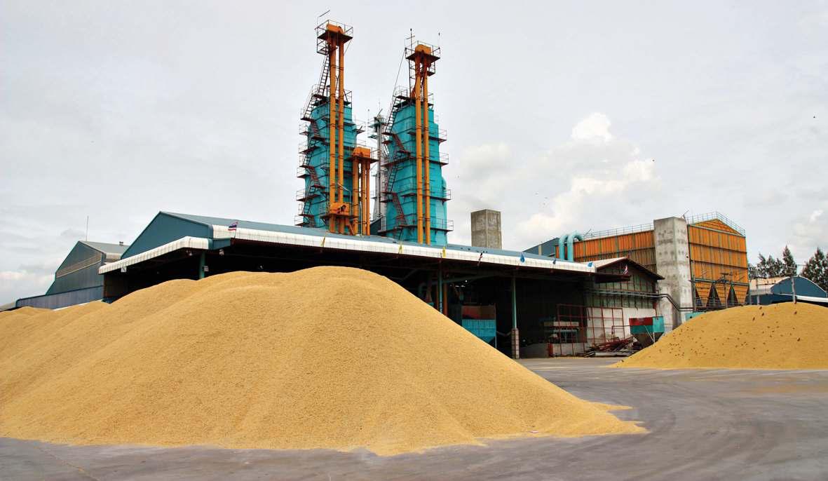 State rice support measures extended