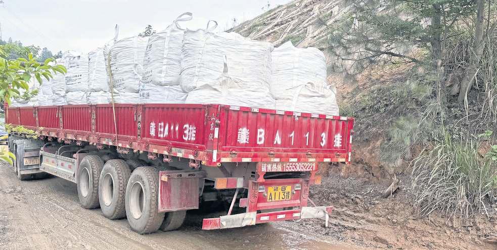 Japan alarmed by China's rare earths threat