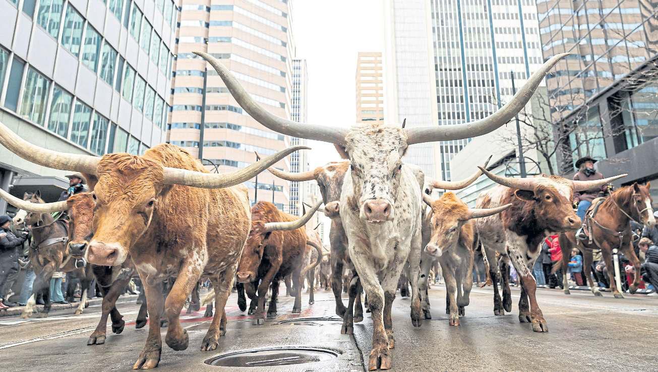 Brazil beating US beef output