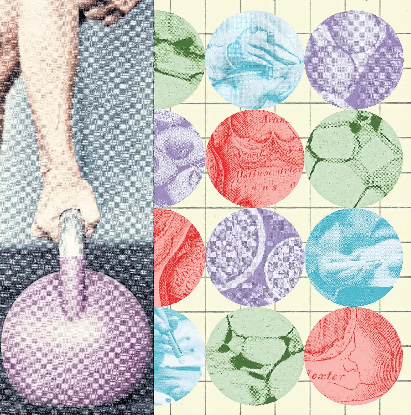 WHAT IS METABOLIC HEALTH?