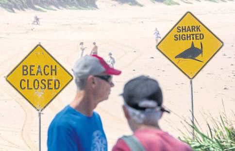 Scores of east coast beaches shut after shark attacks