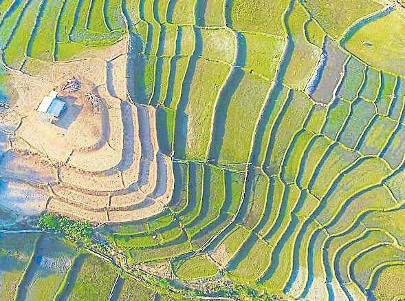 New land appraisal prices to have limited impact