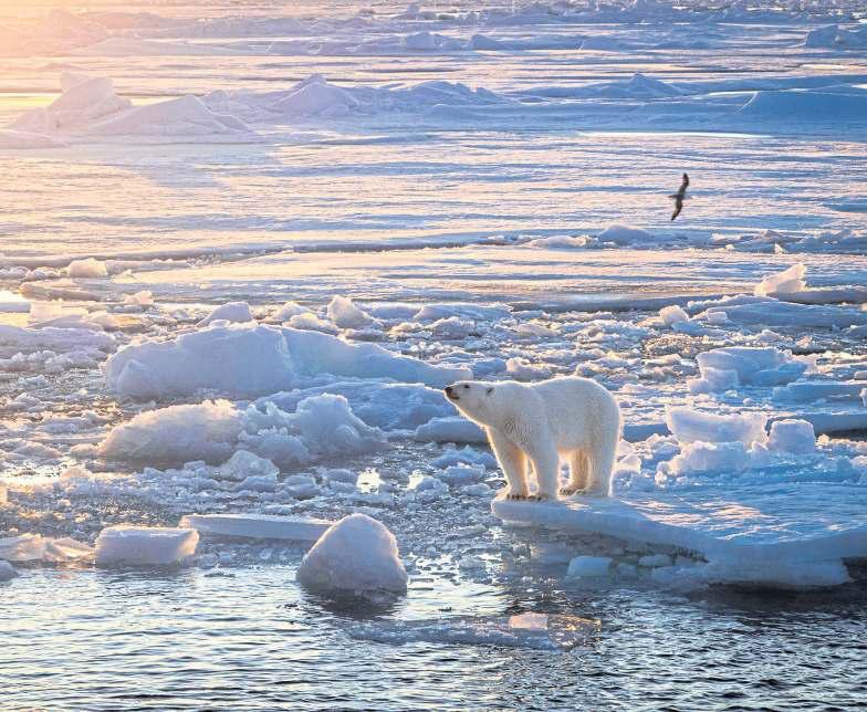 Trump's Greenland threats risk climate research