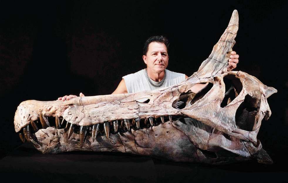 Scientists discover giant bird-like dinosaur in desert