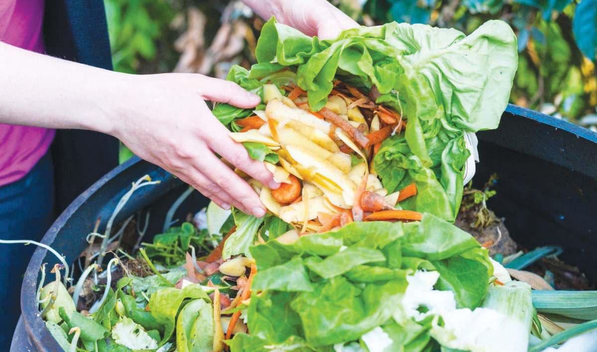 Why food waste composting may fail