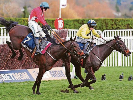 CHELTENHAM PRICE FREEZE