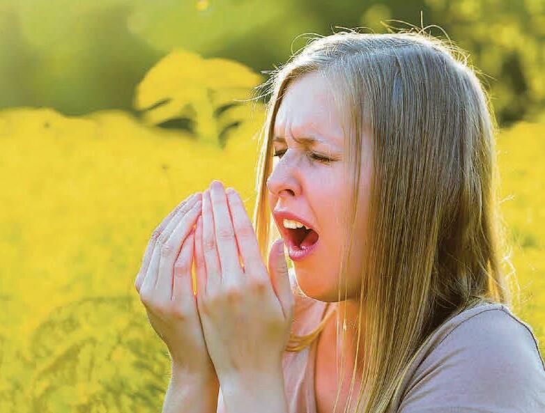 Hay fever fears rise over 'severe' year for tree pollen