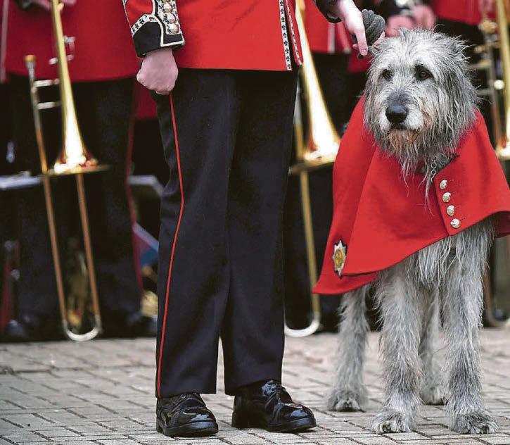 Irish Guards' eyes are smiling on Kate