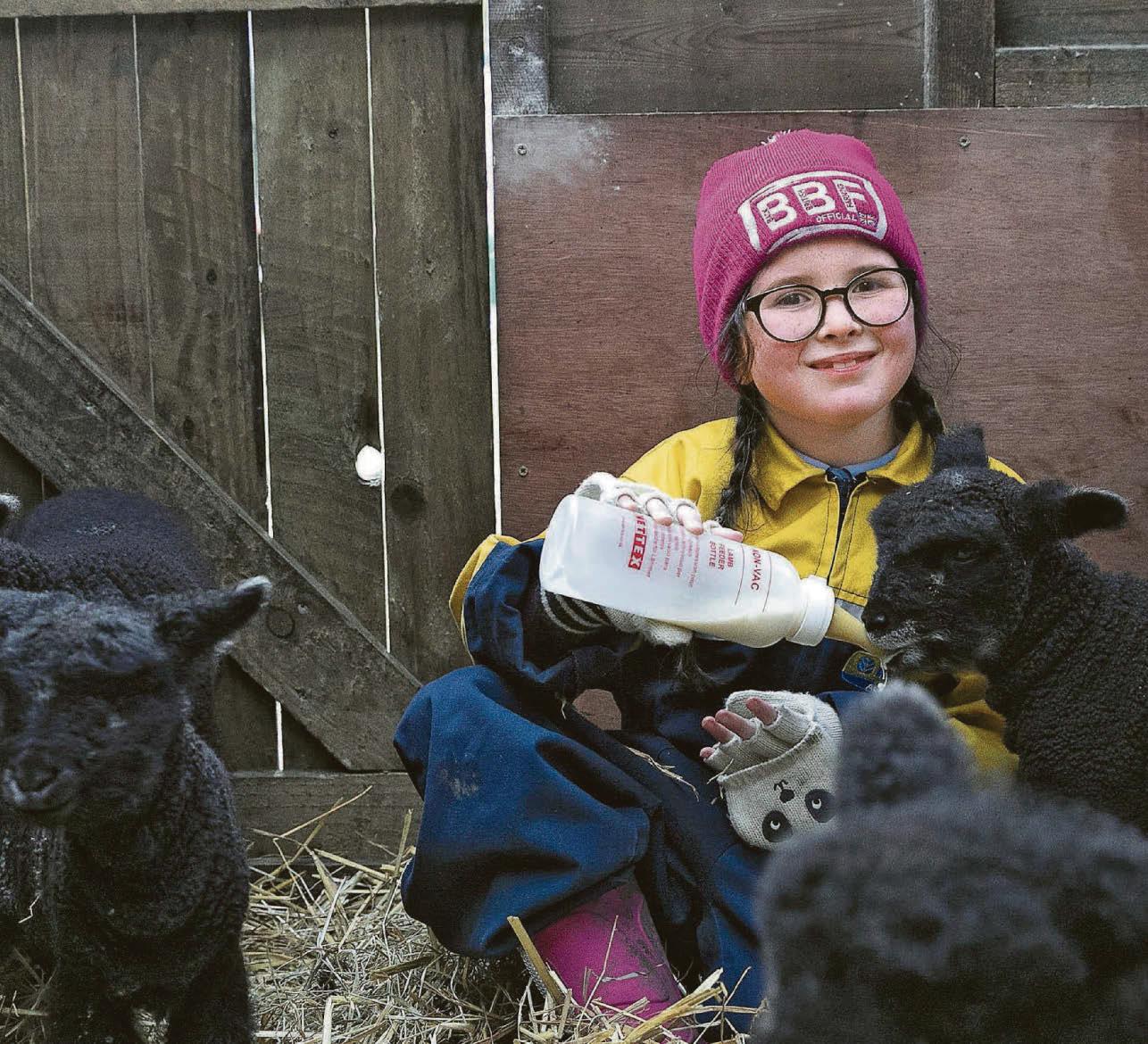 Newborn lambs flock to join Isla, seven