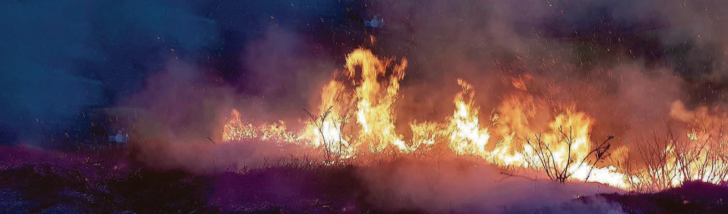 Hotter than Madrid as Scotland faces danger of wildfires