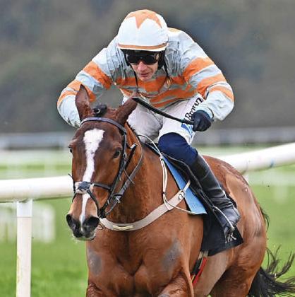 START FIASCO INQUIRY