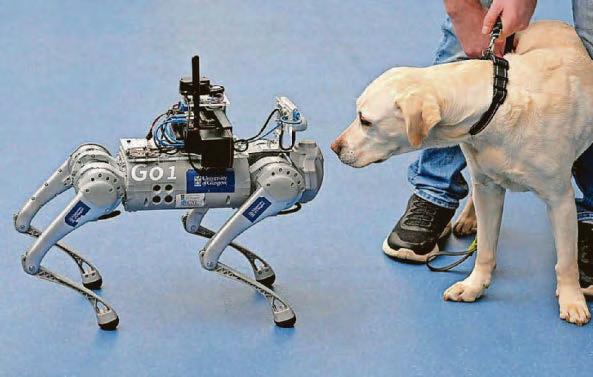 Robo dog game changer for the visually impaired