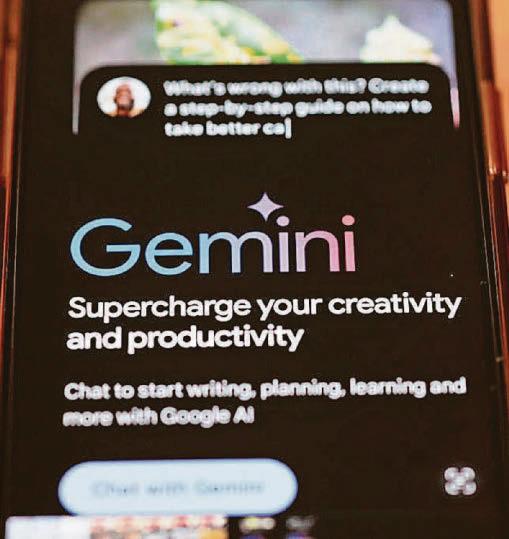 Do we really want a future with redundant brains and Al as king?