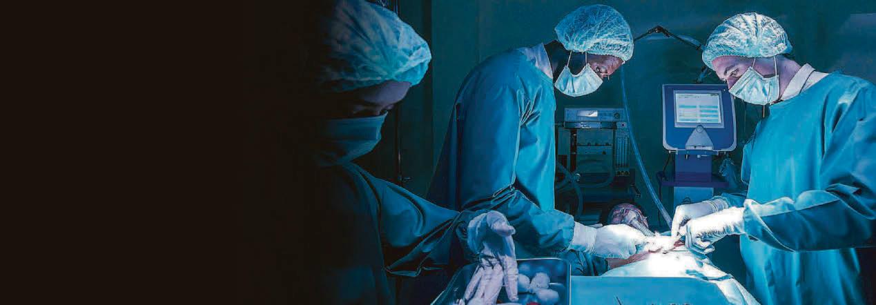 Pig liver op gives hope to patients