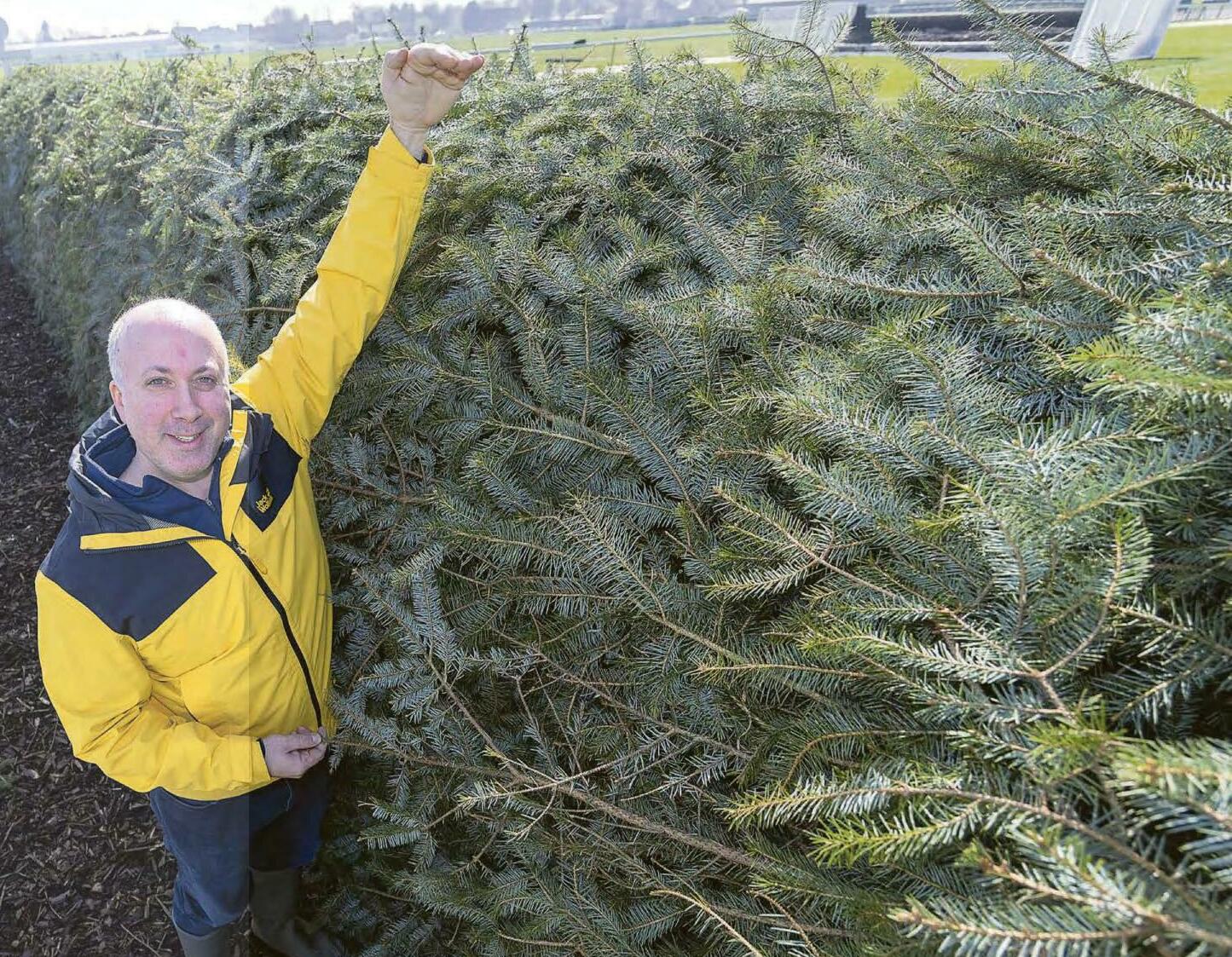 Sprucing up the world's greatest horse race