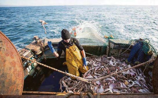 Fishermen: Be more Trump with the EU