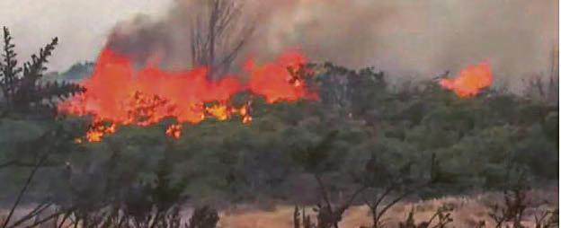 Wildfires warning as heat is on in Scotland