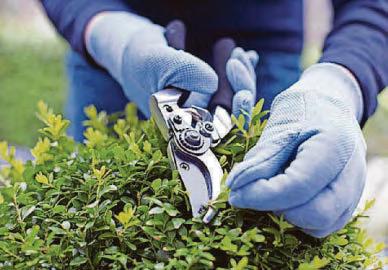 How to garden safely this spring