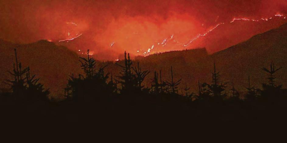 Scots enjoy April sun but campers airlifted to safety after forest fire