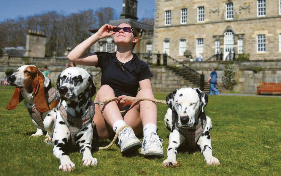 Scorchio as Scotland basks in the sunshine