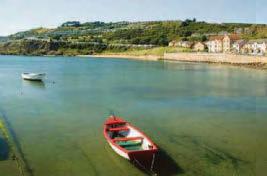 Mum's warning after son is attacked by gang of youths