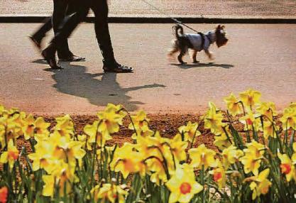 Spring is good for mood – and food!