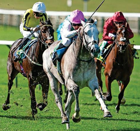 GOSDEN'S GOLD STAR