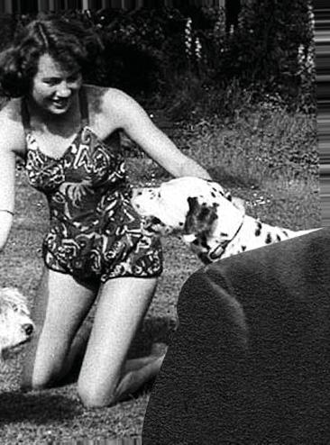 WARTIME LETTERS OF LOVE AND LOSS