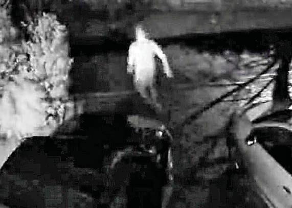 Thief gets the chop...