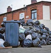 Rules axe 'threatens bin chaos'