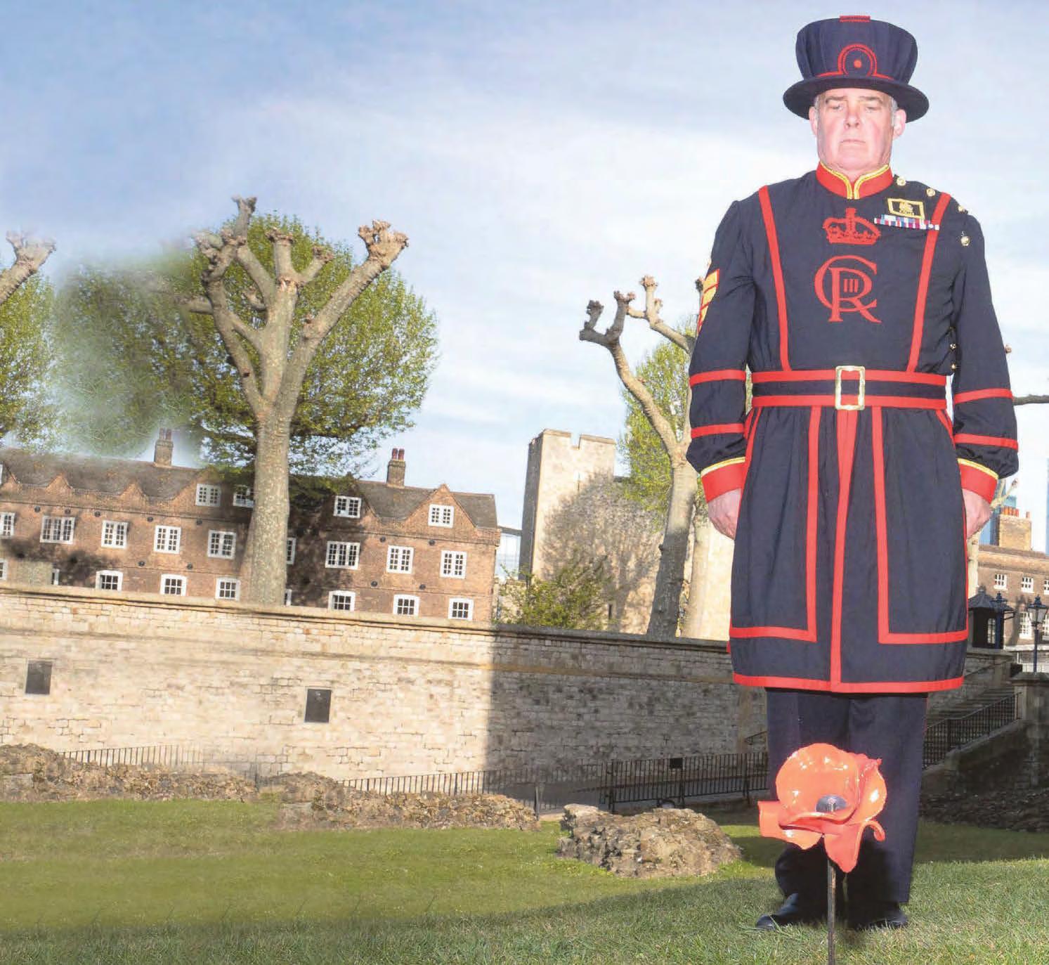 Top of the poppies...a sea of red at the Tower for VE Day