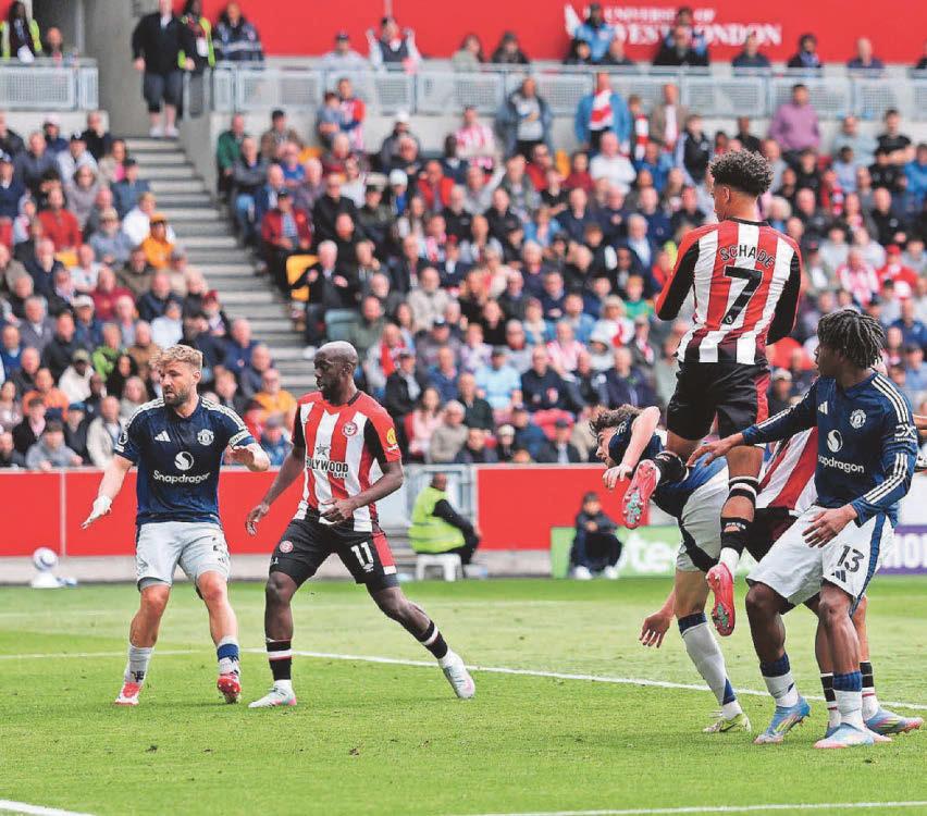BEES BUZZING IN EURO HUNT
