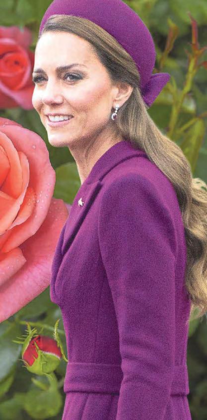 Critics cannot admit Nigel is PM material