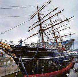Dundee festival to celebrate the recovery of the whale
