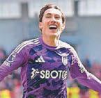 SUPERSUB HARRY IS SO HANDY WITH BEES SWATTED