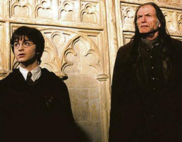 'Harry Potter youngsters were magic to work with'