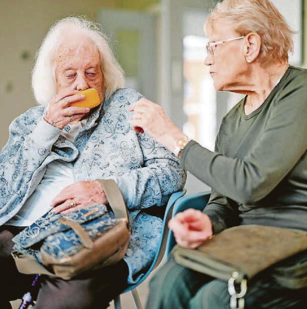 Get help for those suffering from dementia all boxed up