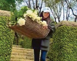 Meghan: Growing a business is like growing a garden
