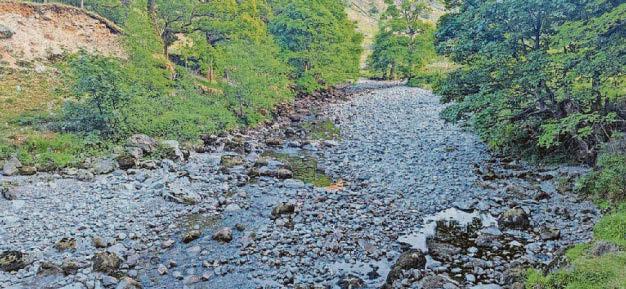 Fears for fish after very dry and warm spring