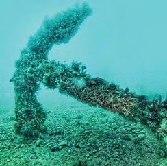 Treasure ship 'found'